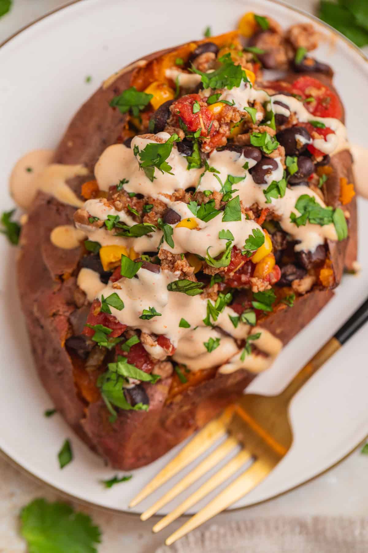 Overhead view of taco stuffed sweet potato topped with cream sauce and cilantro.