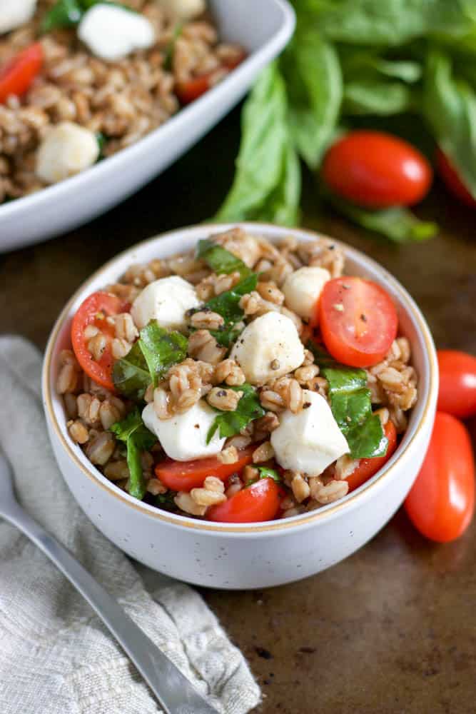 Tomato, basil and mozzarella farro salad in bowl.