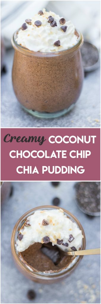 creamy chocolate chia pudding recipe.