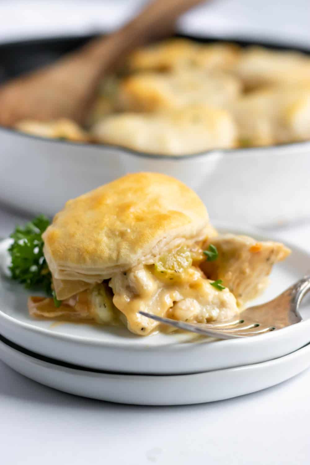 Campbells easy chicken and biscuits recipe