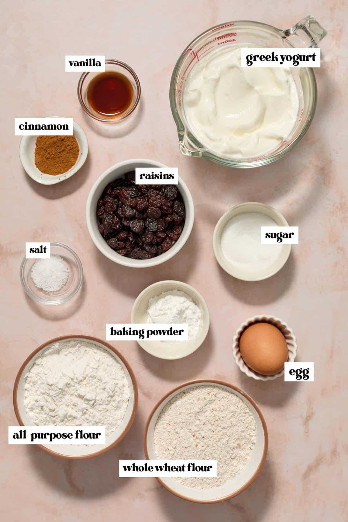 Flour, cinnamon, raisins and other ingredients labeled on surface.