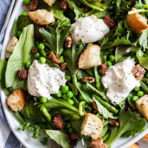 Spring green salad with burrata, asparagus, peas and pecans on white dish.