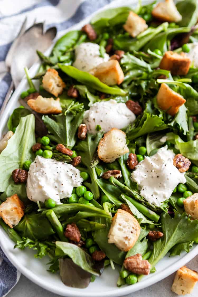 Spring green salad with burrata and croutons.
