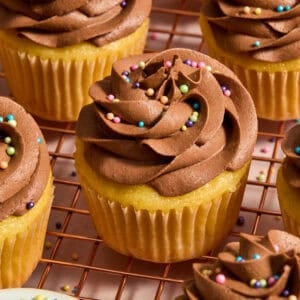Vanilla cupcakes on wire rack with chocolate frosting.