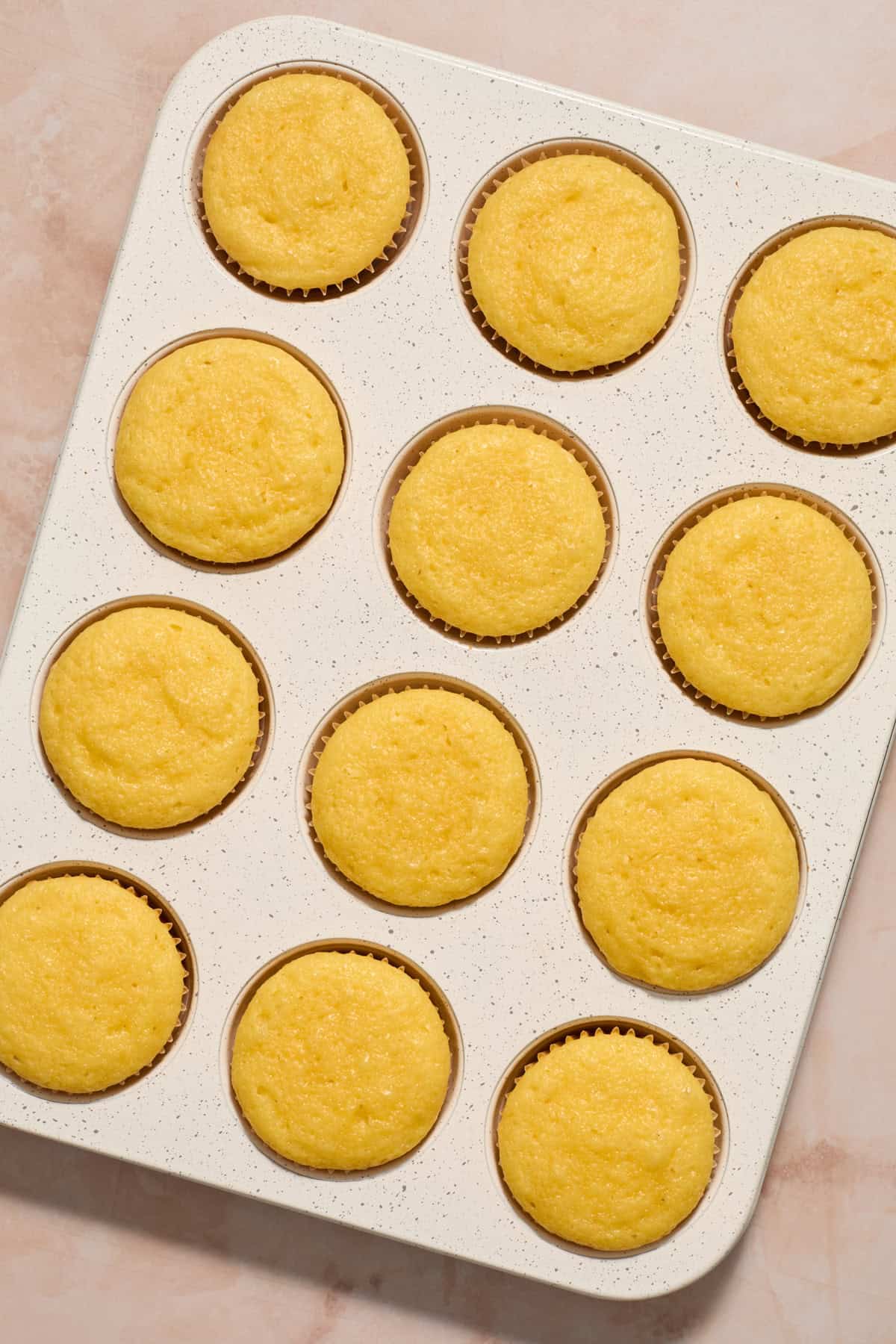 Baked vanilla cupcakes in muffin tin.