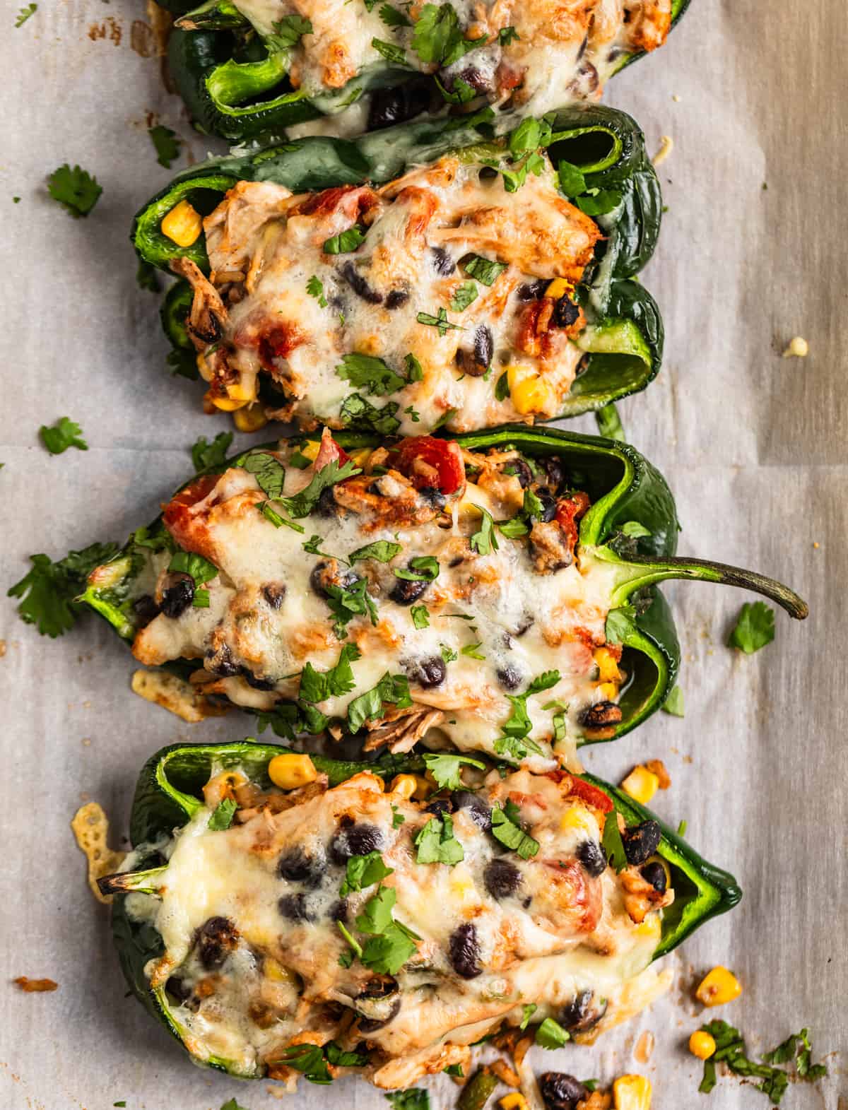 Chicken stuffed poblano peppers on parchment lined baking sheet topped with freshly chopped cilantro.