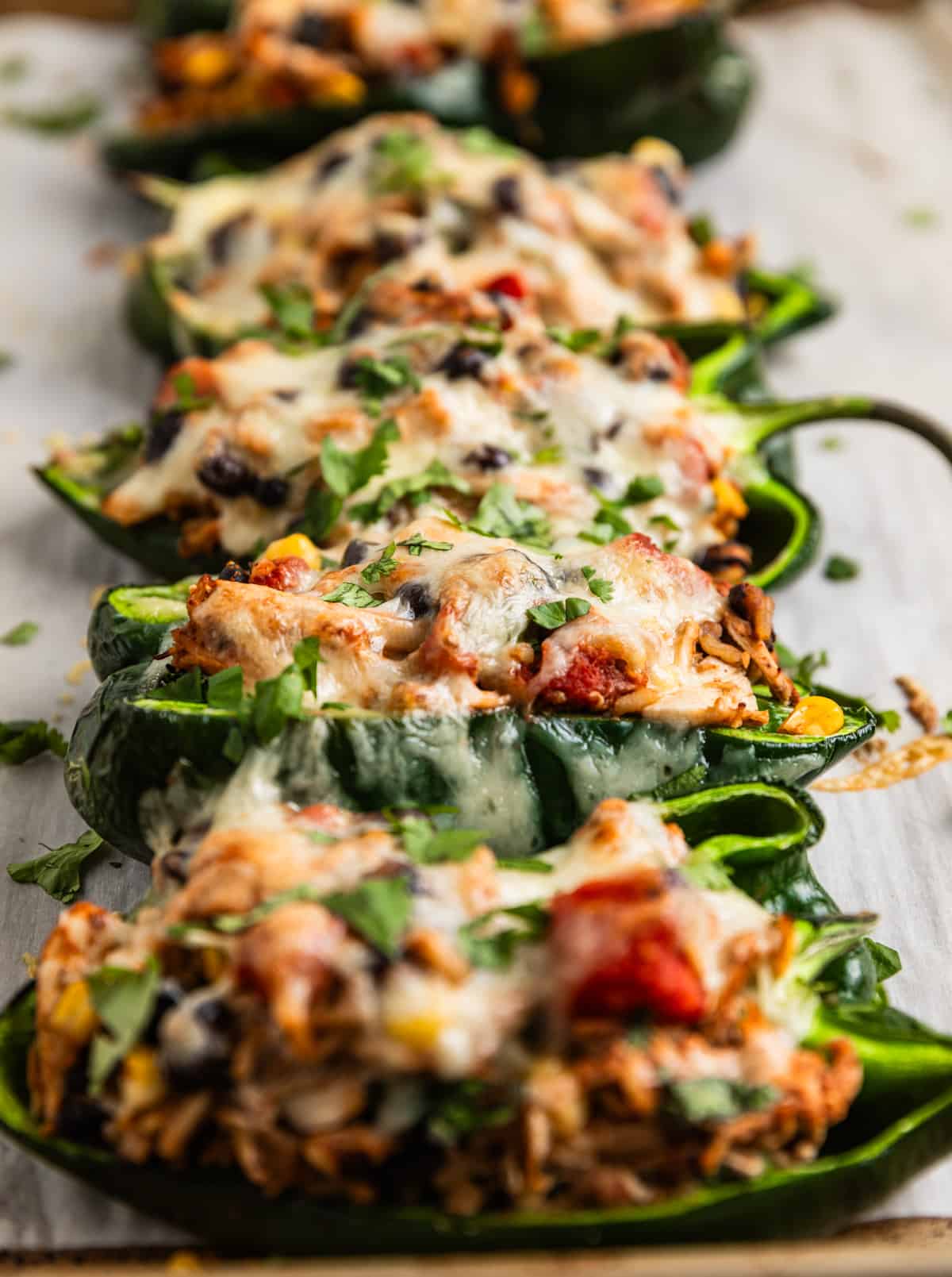 Chicken stuffed poblano peppers lined on baking sheet topped with cilantro and cheese.