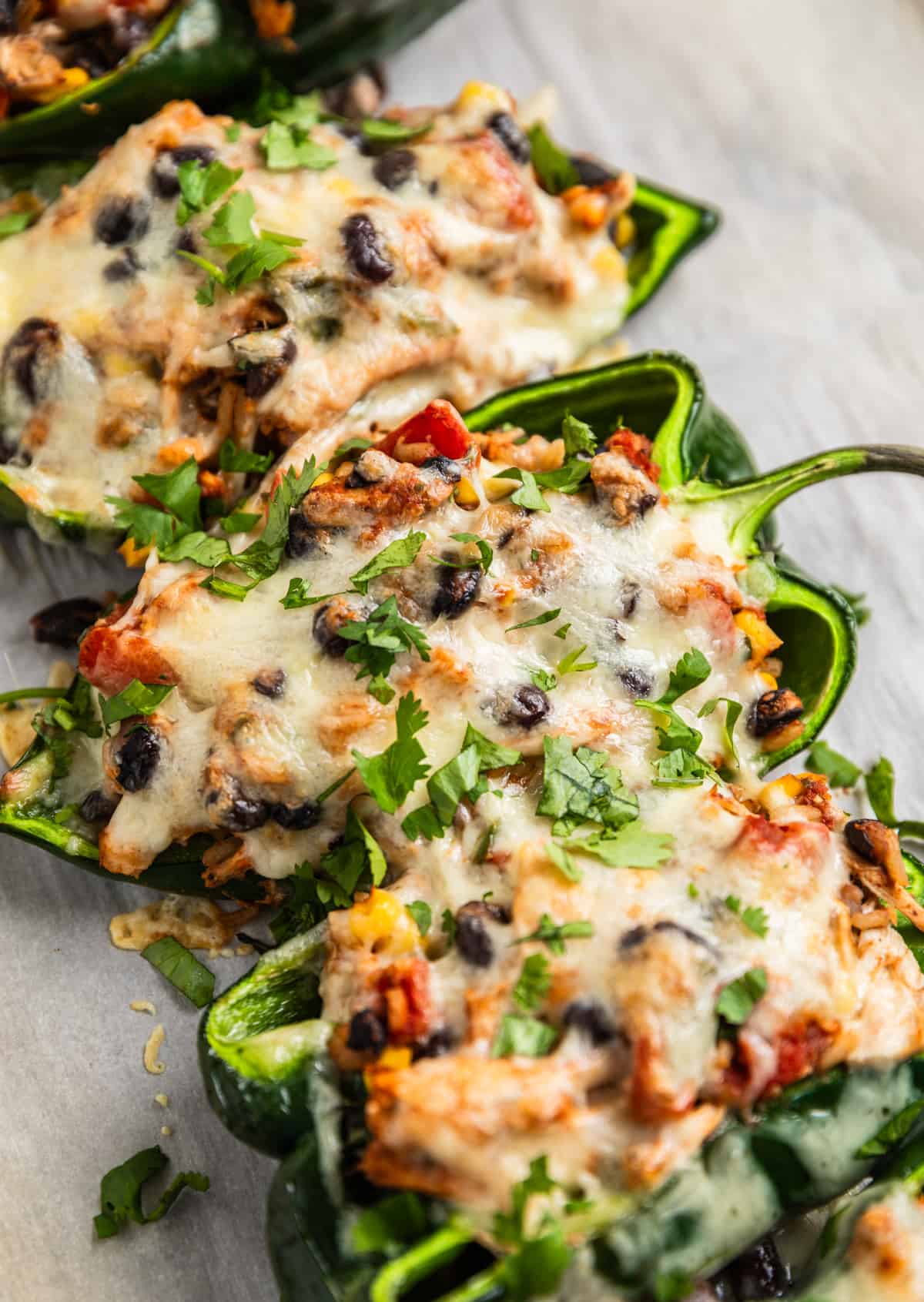 Stuffed poblano peppers lined up and topped with melted cheese and cilantro.