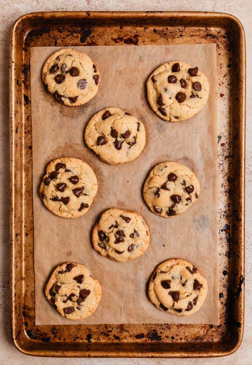Chocolate chip cookies baked on cookie sheet.