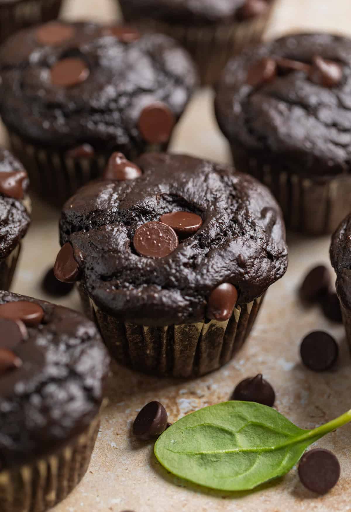 Chocolate chip spinach muffins with pieces of spinach beside them on counter.