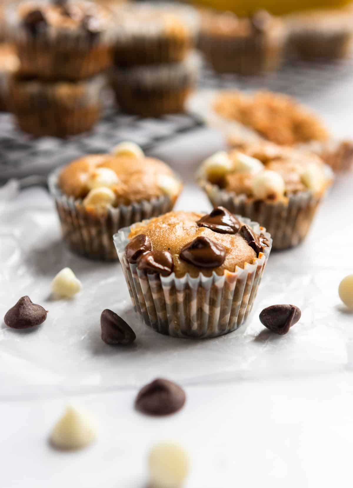 Flourless Peanut Butter Banana Muffins with white and dark chocolate chips.
