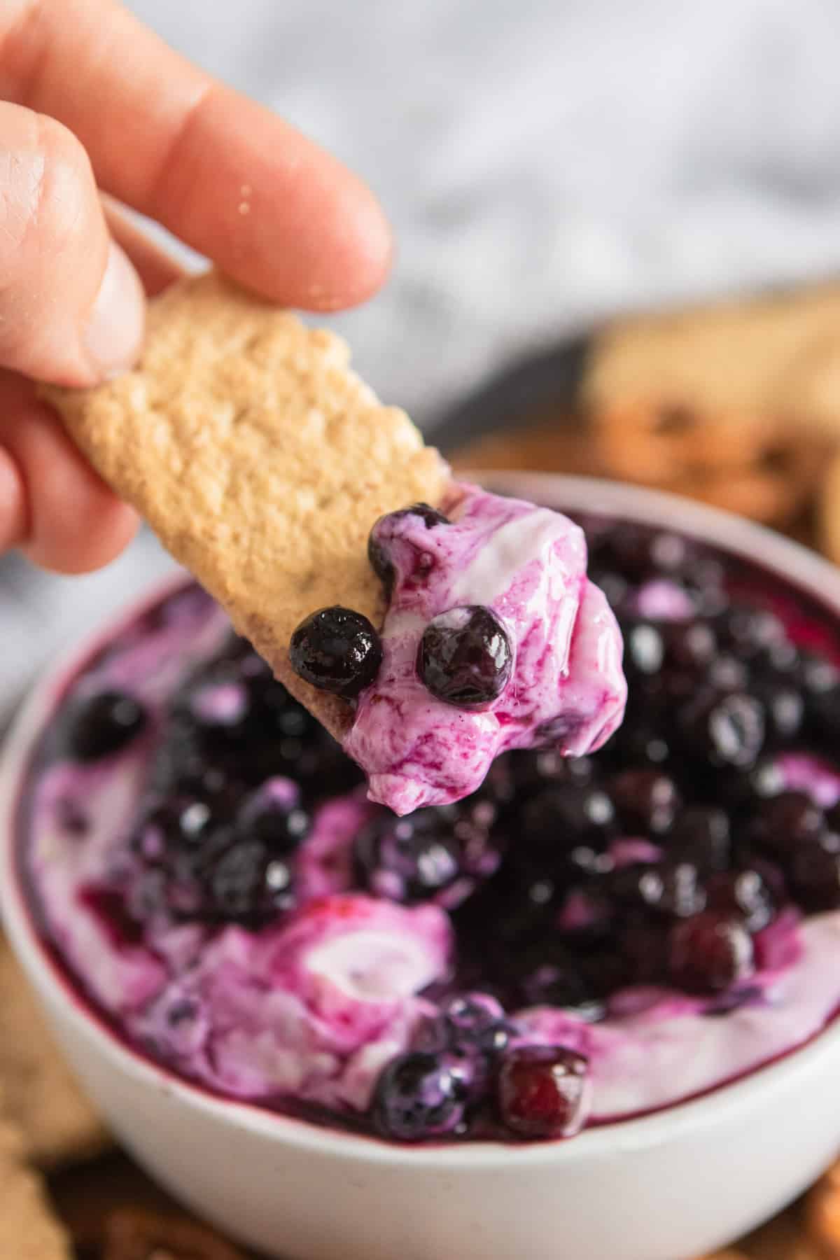 Graham cracker dipped in blueberry cheesecake dip.