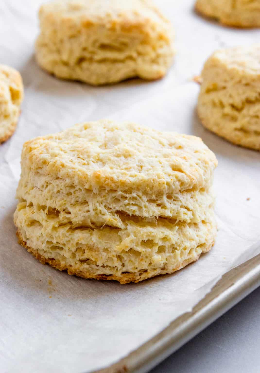 The BEST Honey Biscuits from Scratch | Lemons + Zest