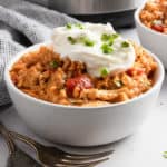 Instant Pot Chicken and Rice in bowl with sour cream.