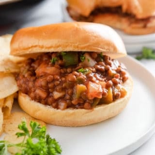 Vegan sloppy Joes on bun with chips.