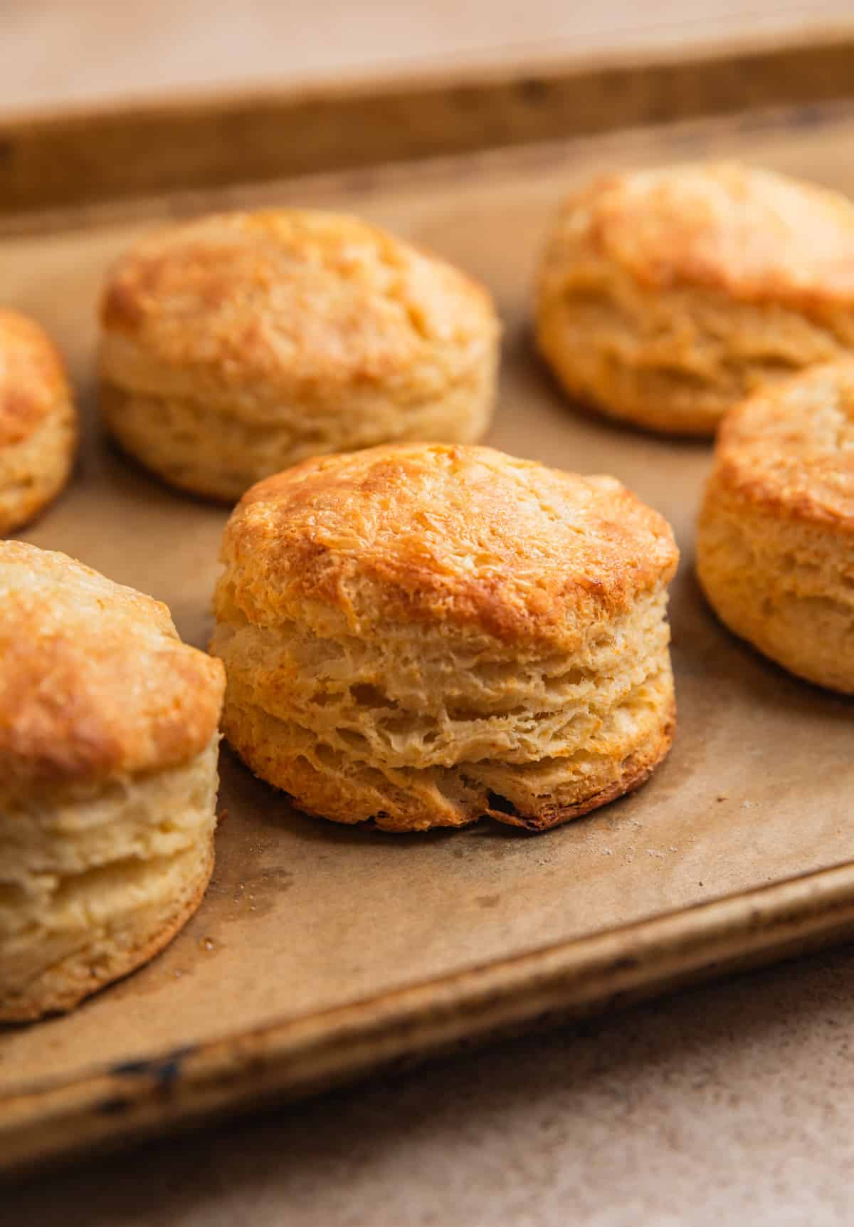 Freshly baked biscuits on parchment lined baking sheet.