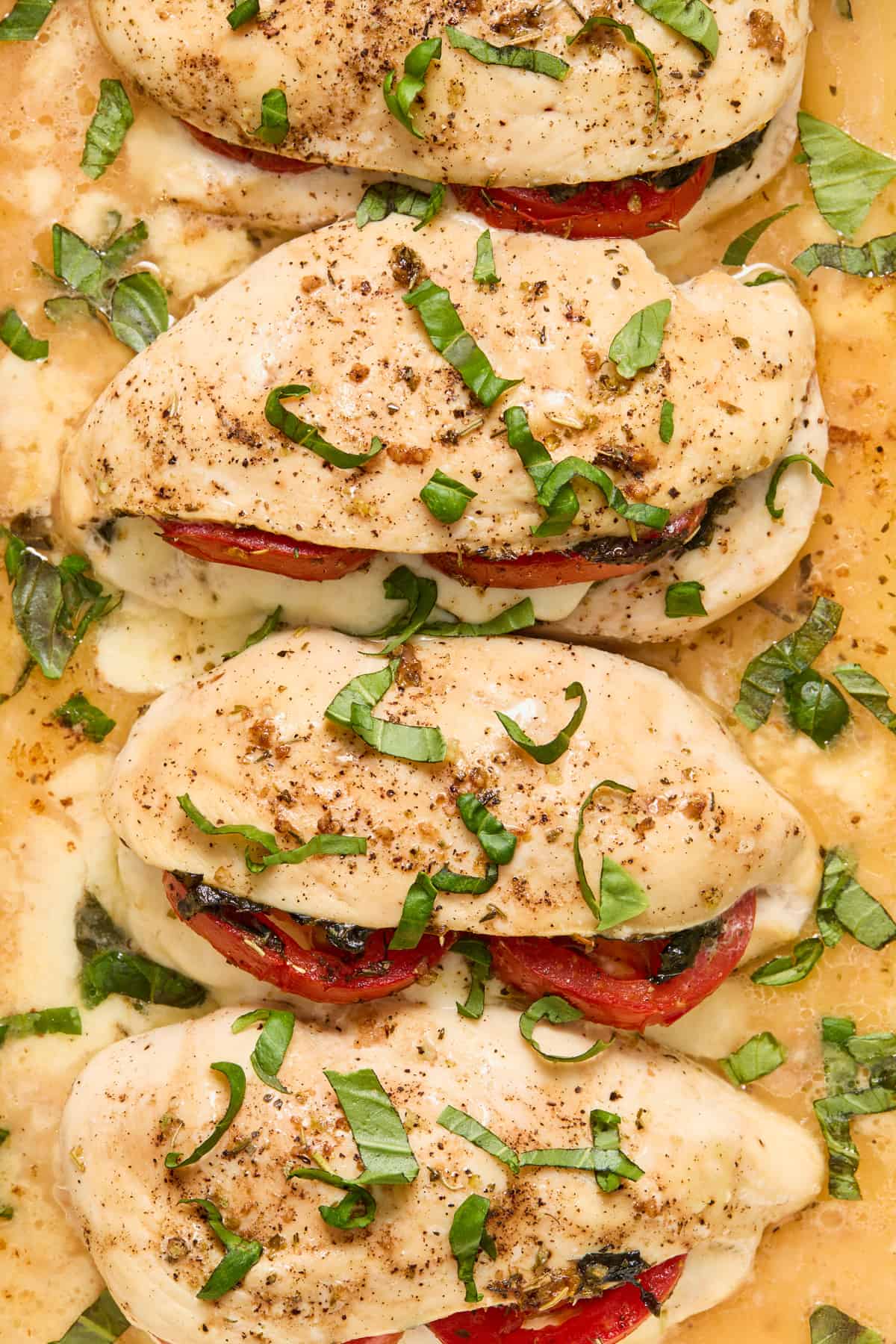 Chicken breast in baking pan with tomato and mozzarella.