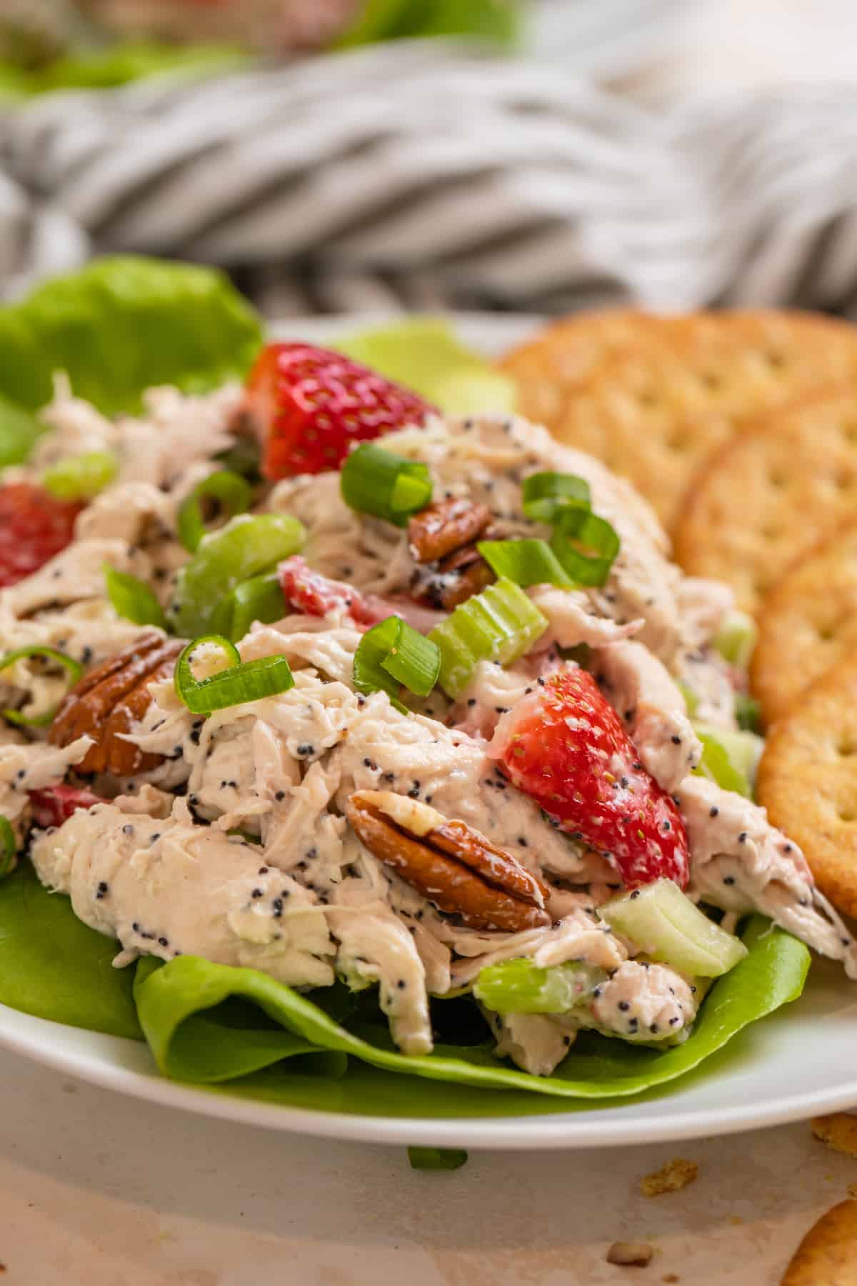 White plate with strawberry pecan chicken salad with poppy seeds scooped on lettuce and crackers on the side.