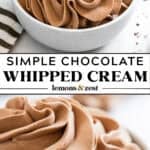 Chocolate whipped cream piped into a white dish.