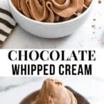 Chocolate whipped cream in bowl and on spatula.