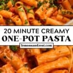 Creamy tomato pasta in pot and then on plate served with chopped parsley.
