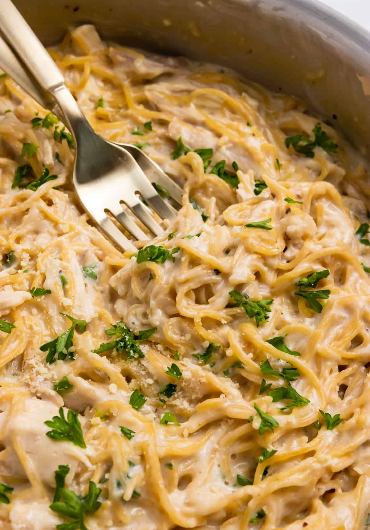 Chicken alfredo in pot with forks.