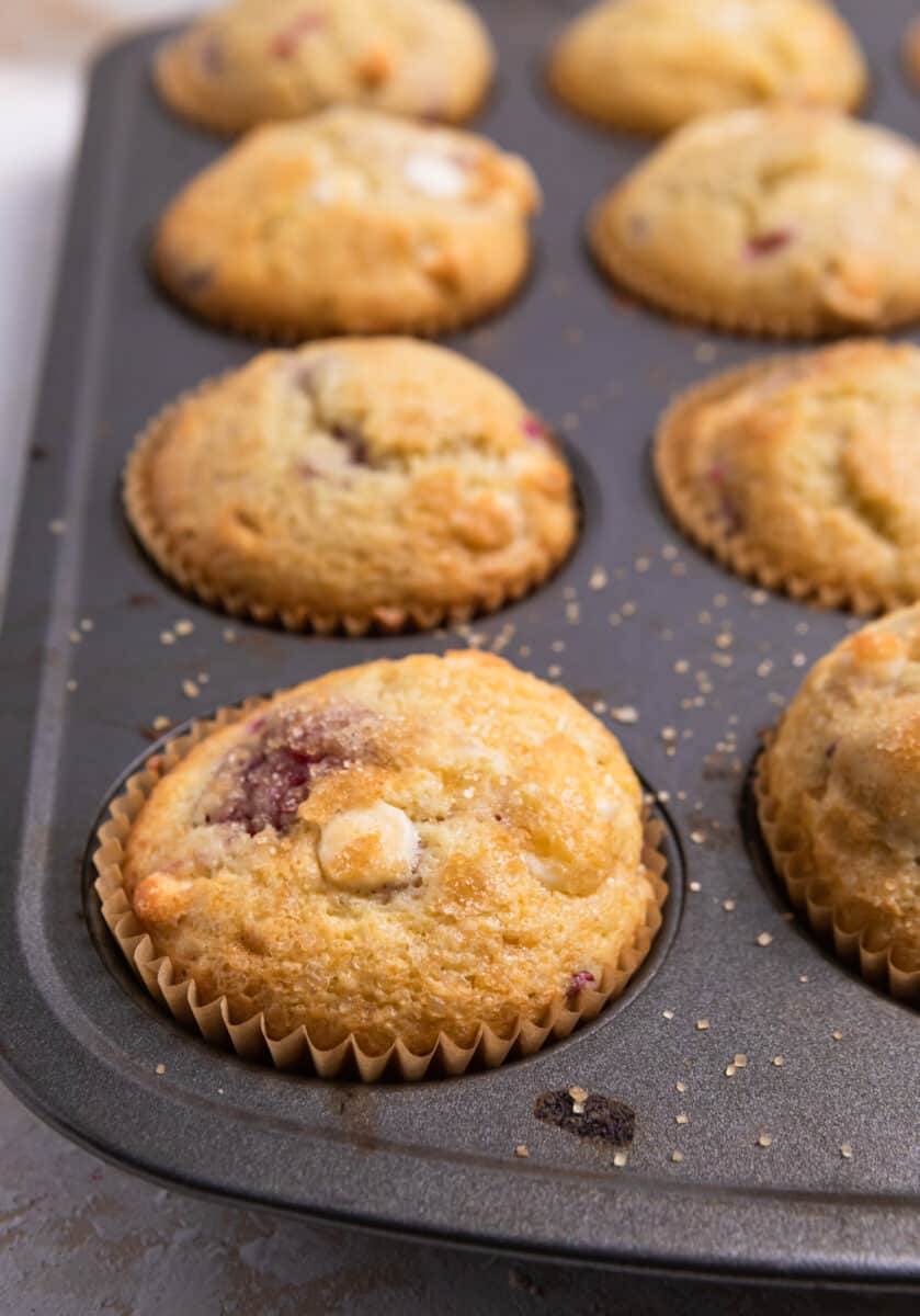 Baked raspberry white chocolate chip muffins in muffin tin.