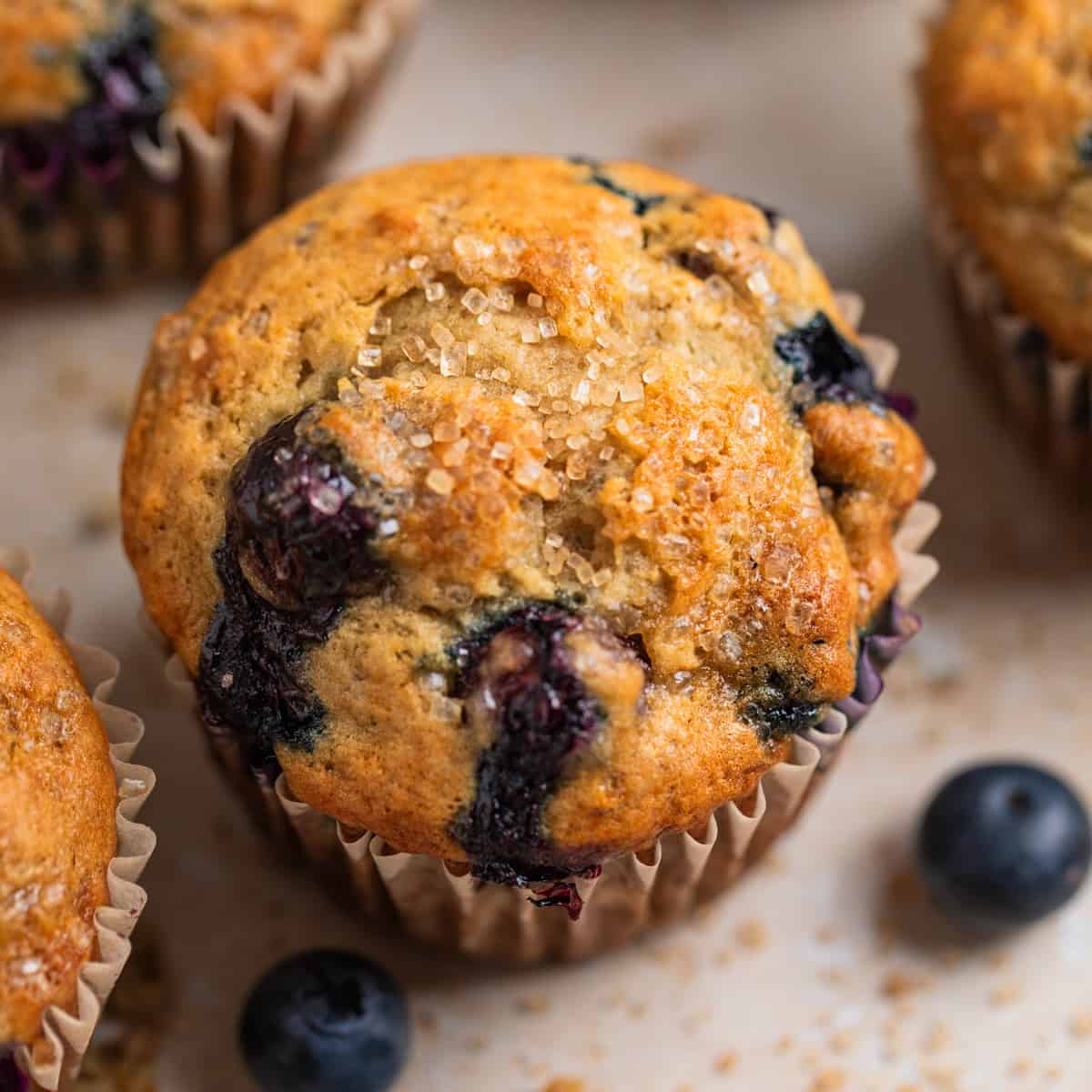 Blueberry muffin with coarse sugar on top and crumbs and berries surrounding.