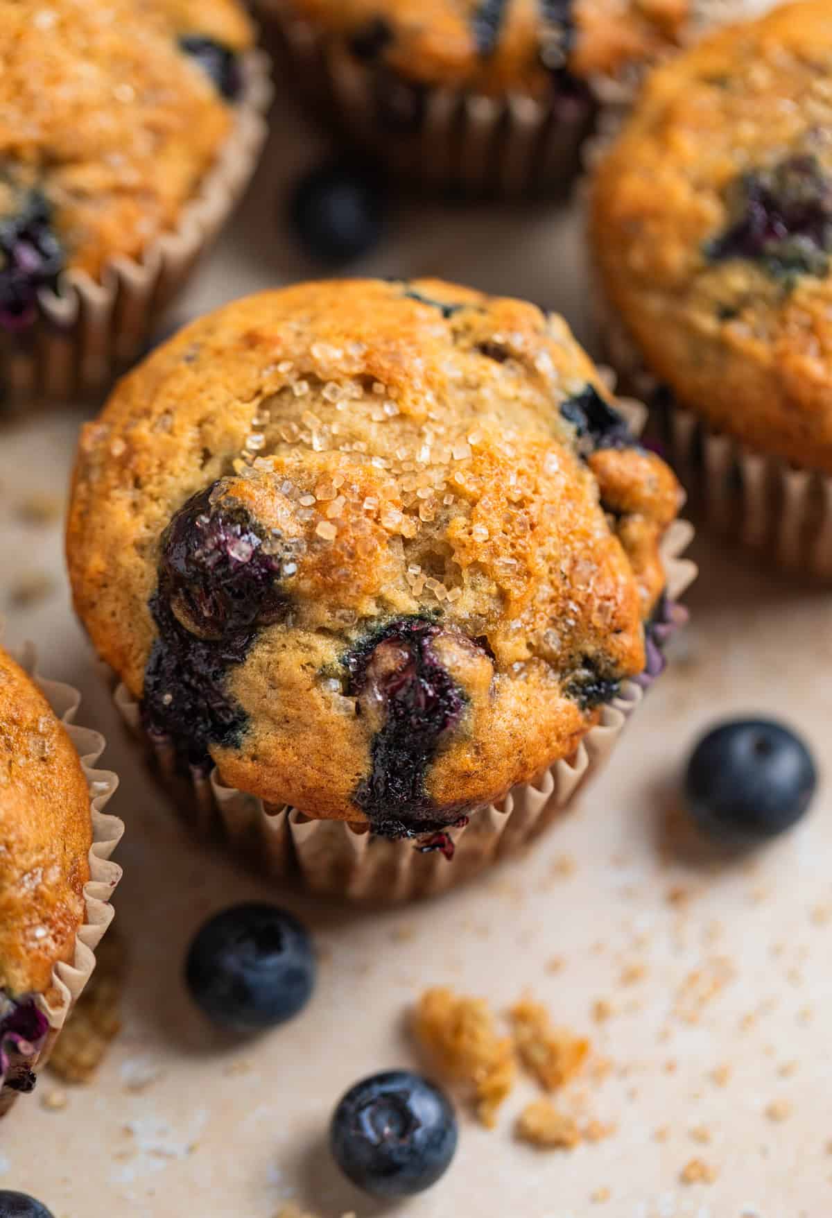 Blueberry banana muffins with blueberries on surface. 