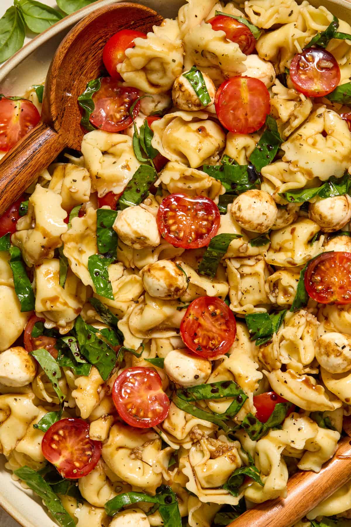 Close up view of tortellini pasta salad.
