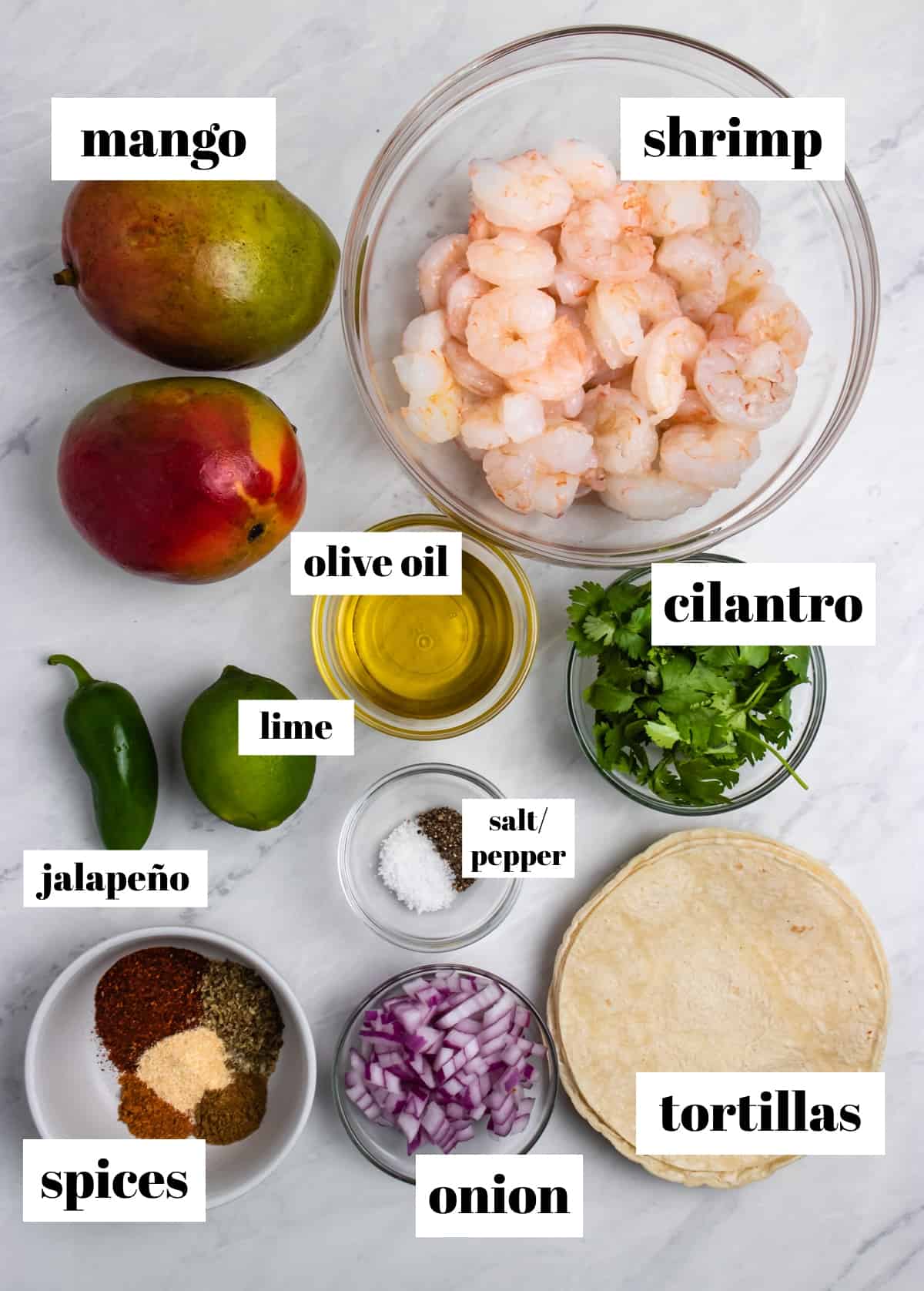 Jalapeño, shrimp, tortillas, cilantro, mango and other ingredients labeled on counter.