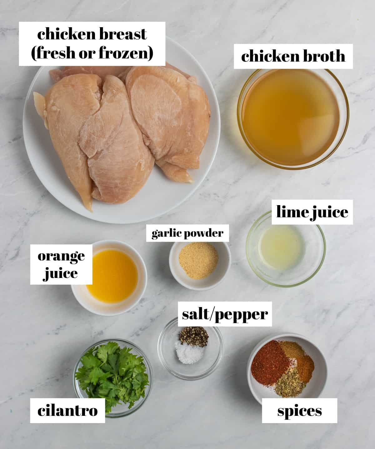 Broth, frozen chicken breast, spices and ingredients labeled on counter.