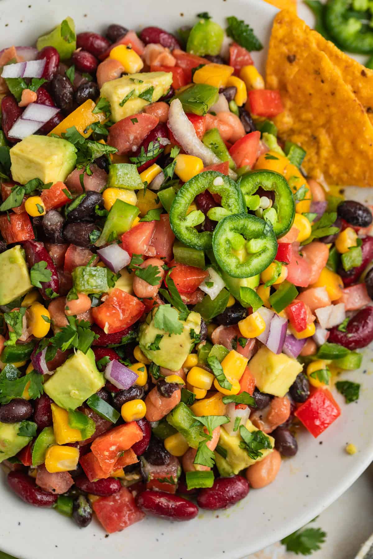 Tri color bean dip with fresh vegetables, corn, cilantro and other ingredients in bowl.