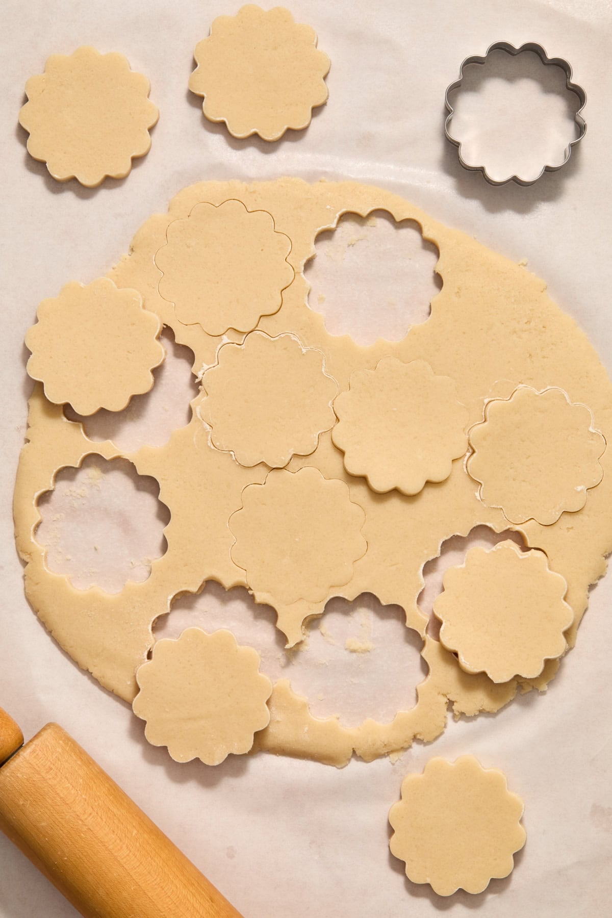 Rolled cookie dough with scalloped cookie cutter shapes.