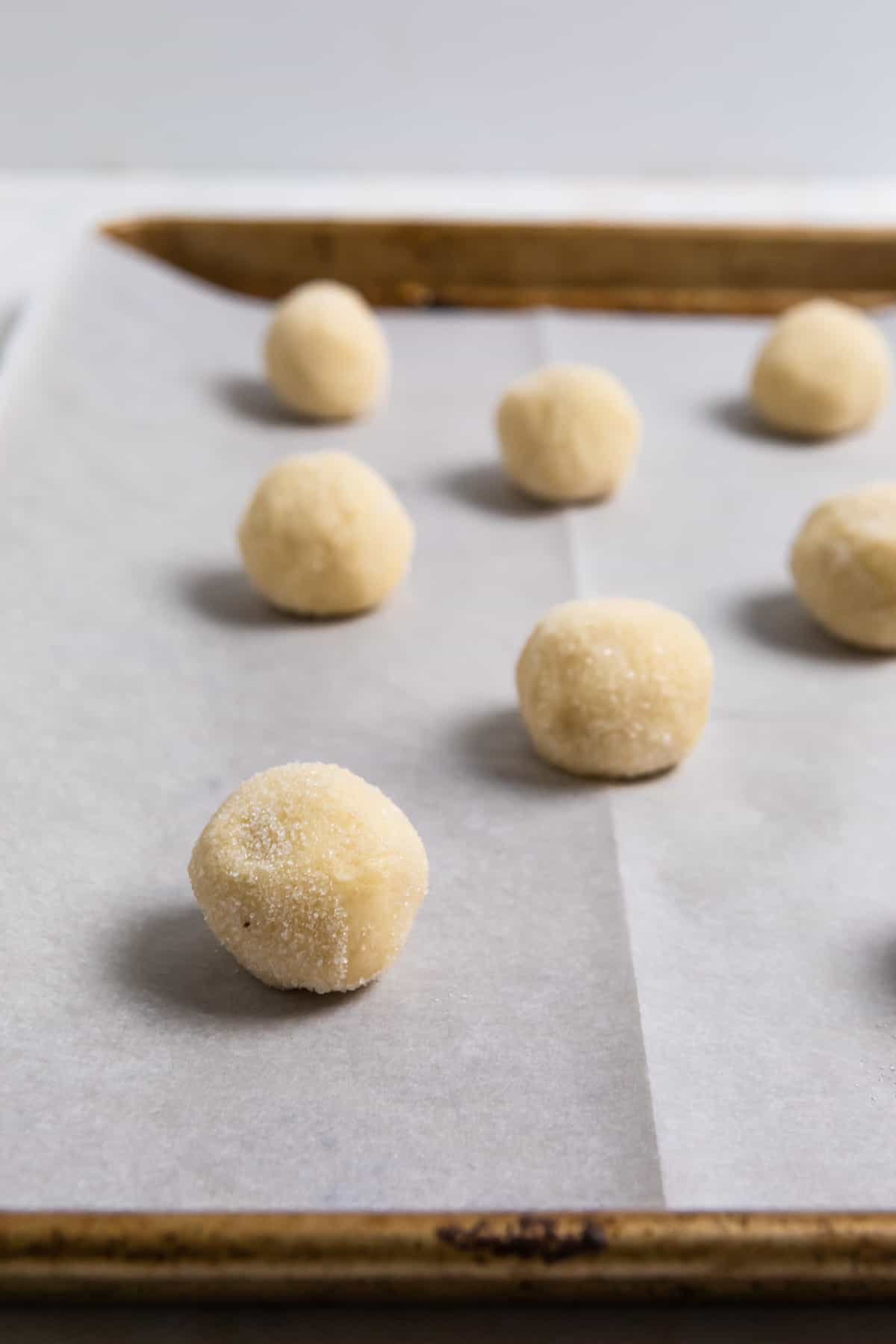 Rolled sugar cookie dough on parchment lined cookie sheet.