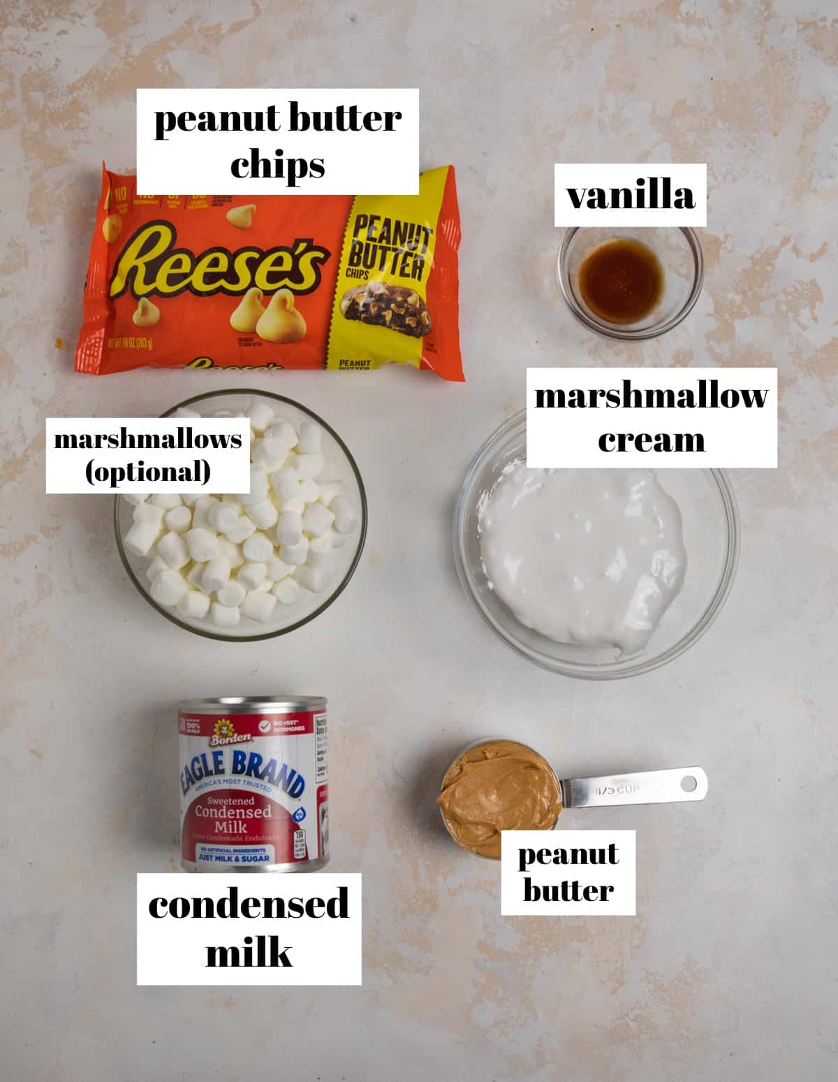 Condensed milk, peanut butter chips, vanilla and other fudge ingredients labeled on counter.