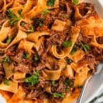 White plate with short rib ragu tossed with pappardelle pasta and topped with parsley.