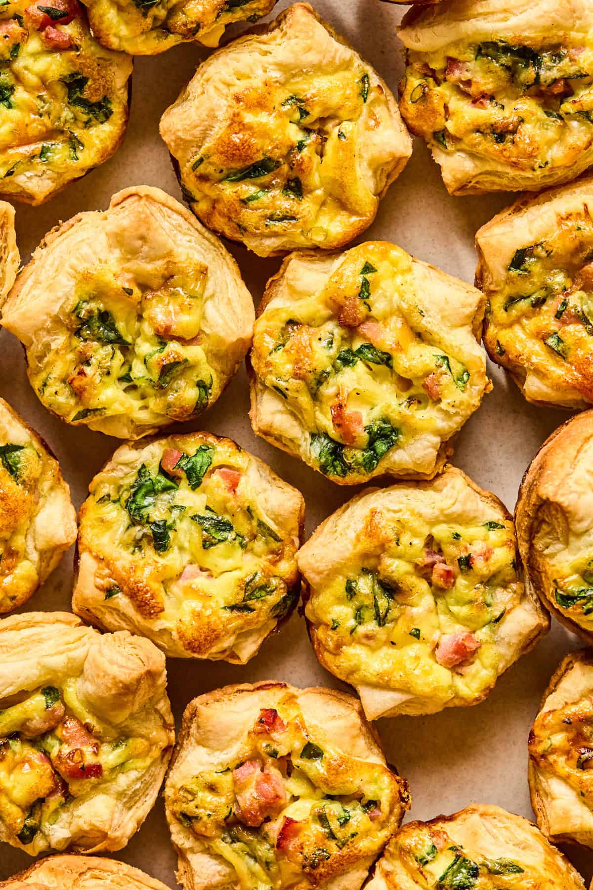 Puff pastry mini quiches with ham and spinach on plate topped with green onion and parsley.