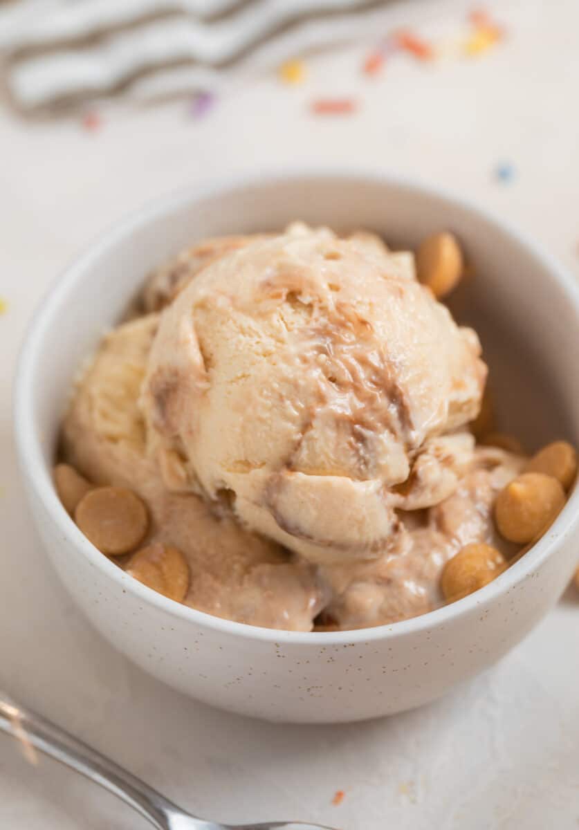 Peanut butter fudge cottage cheese ice cream scooped in white dish with peanut butter chips.