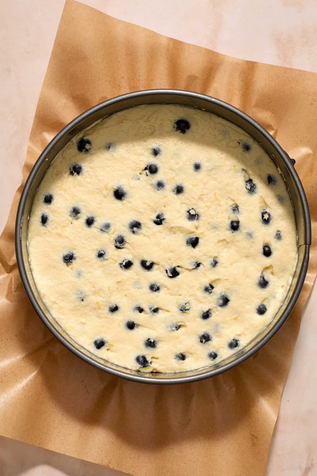 Springform pan with coffee cake batter.