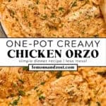 Skillet with creamy chicken and orzo and then close up of recipe.