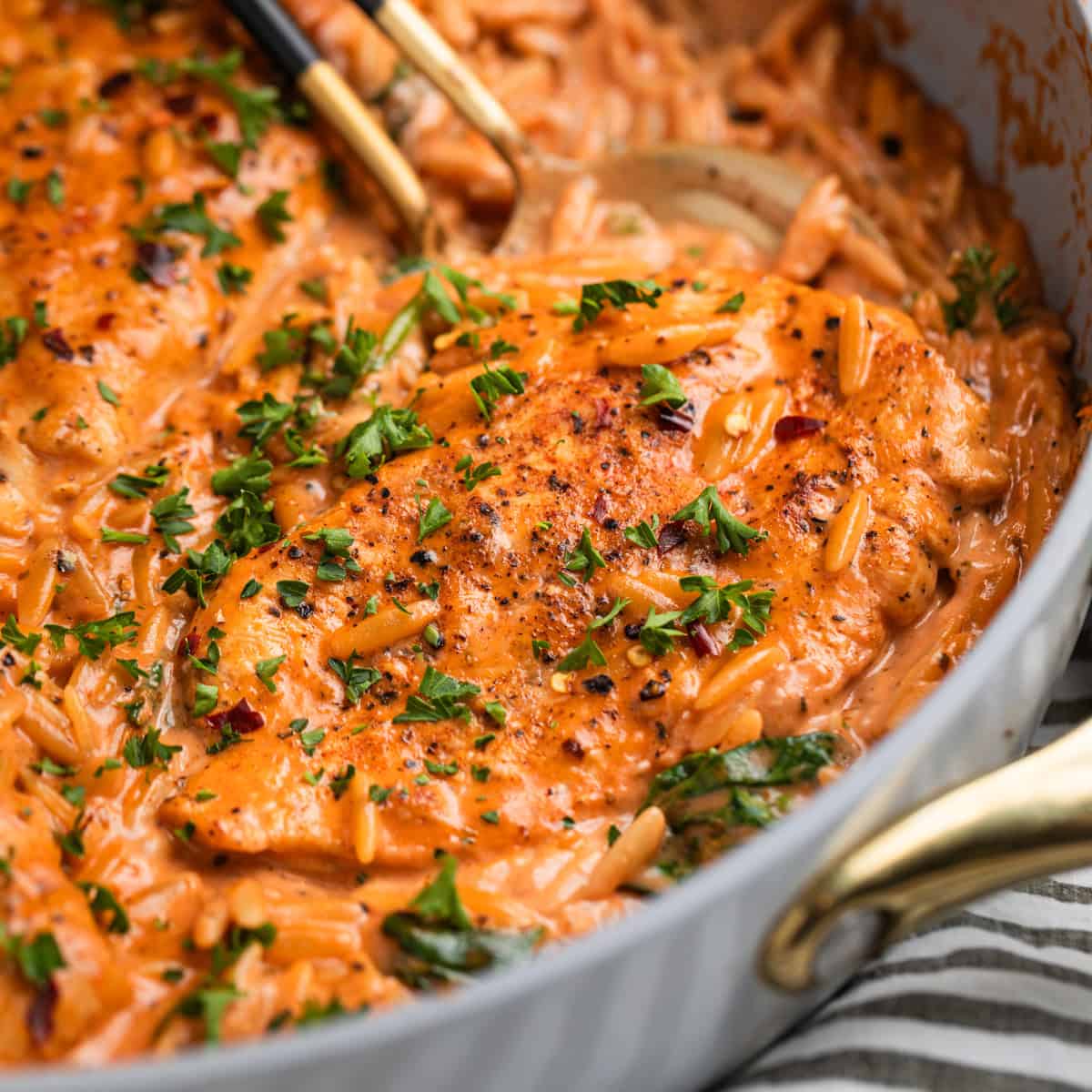 Creamy Orzo With Chicken-image
