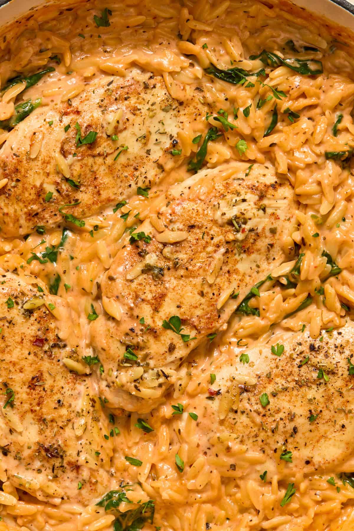 Close up view of chicken and orzo in creamy tomato sauce topped with chopped herbs.