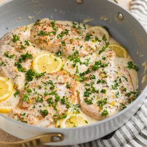 Creamy lemon chicken in skillet with lemon slices, cream cheese sauce and chopped parsley over top.