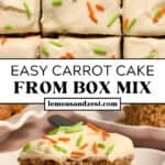 Close up slices of carrot cake with orange and green sprinkles and then served on plate.