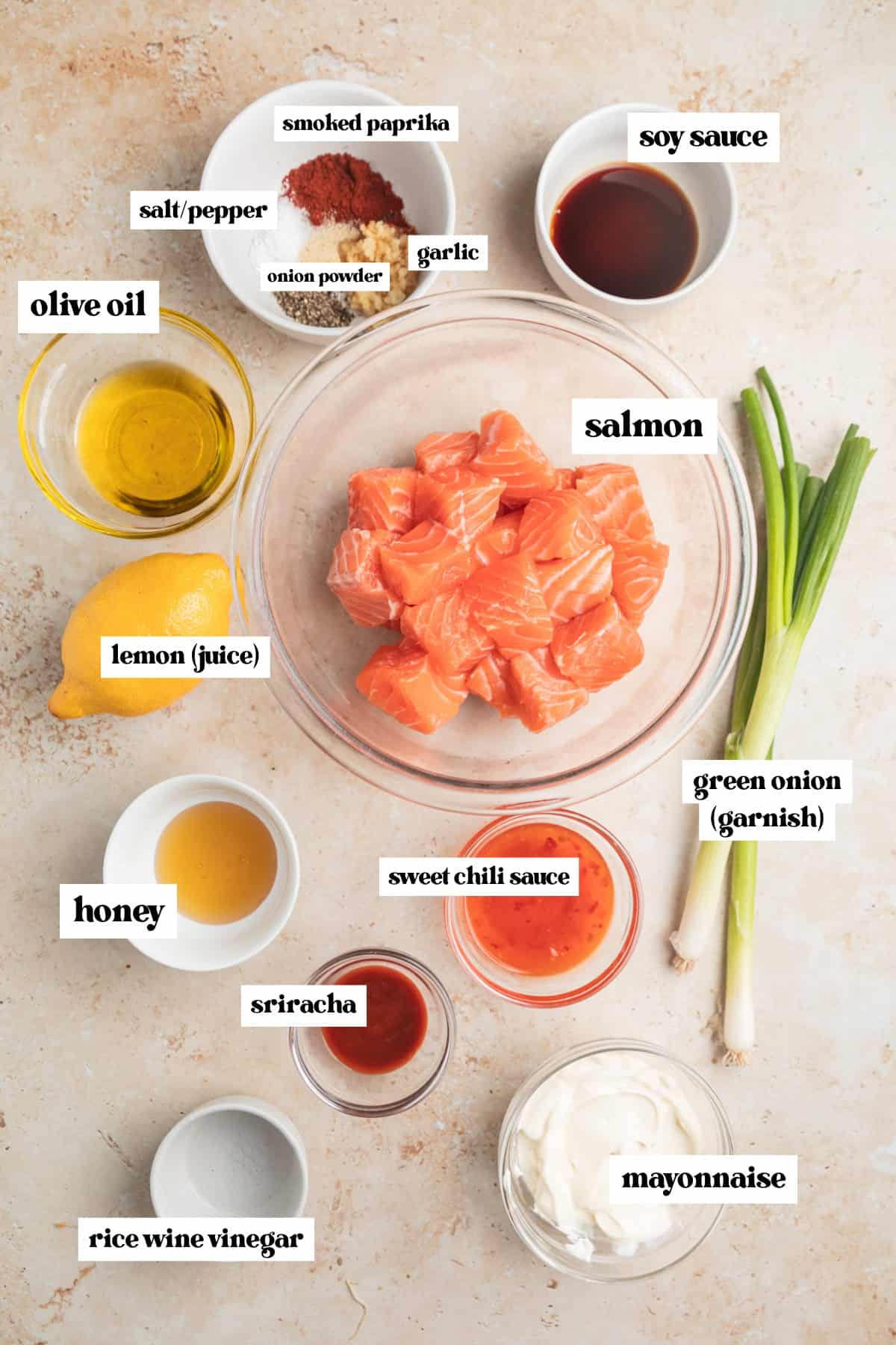 Salmon, onion, soy sauce, and other labeled ingredients needed for recipe.