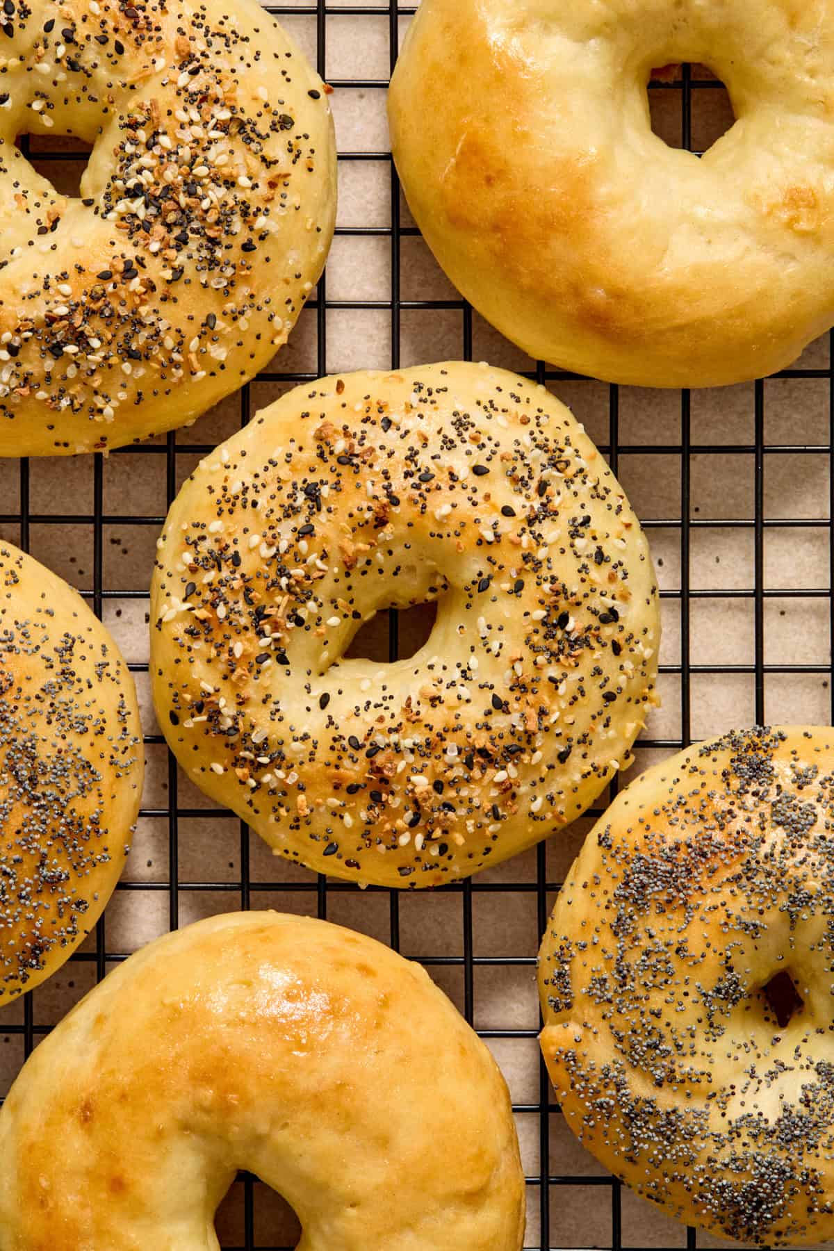 Greek yogurt bagels on cooling rack topped with everything bagel seasoning.