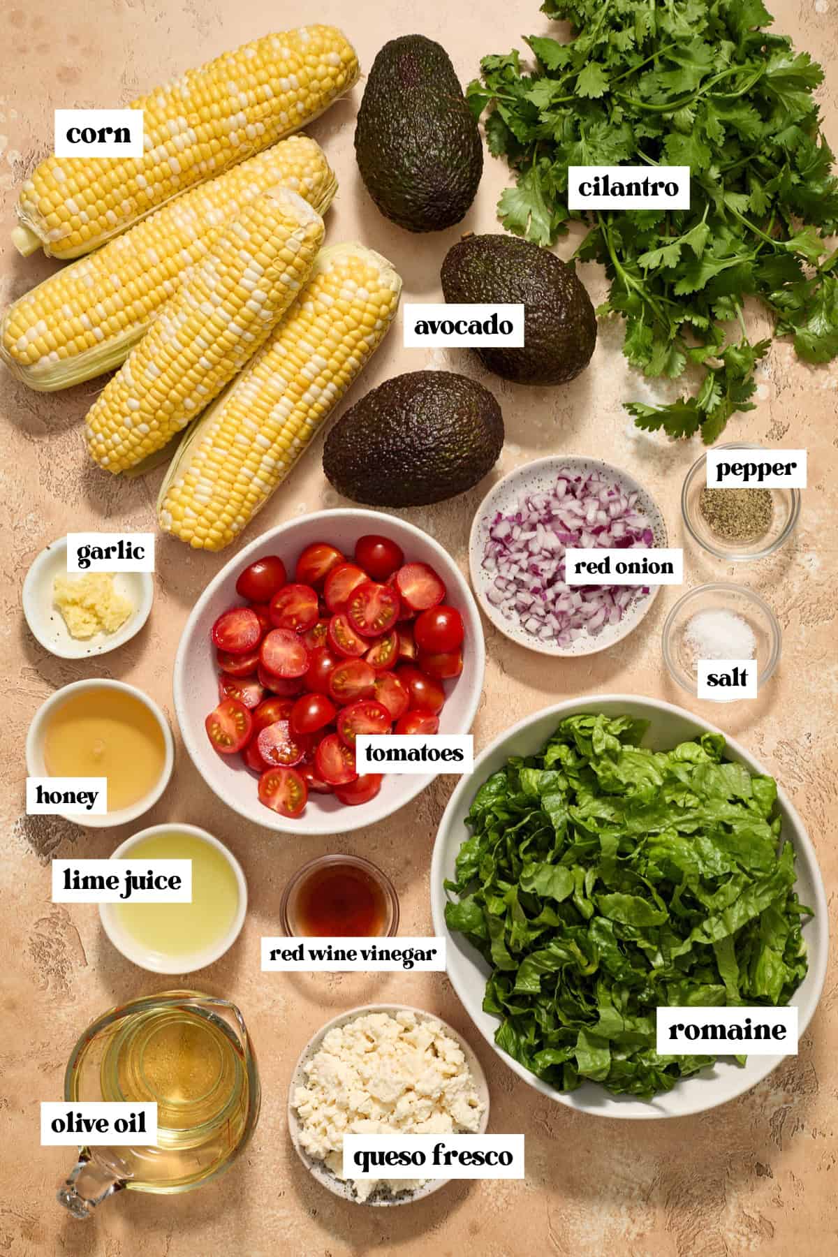 Cilantro, tomatoes, corn, romaine and other ingredients labeled on surface.