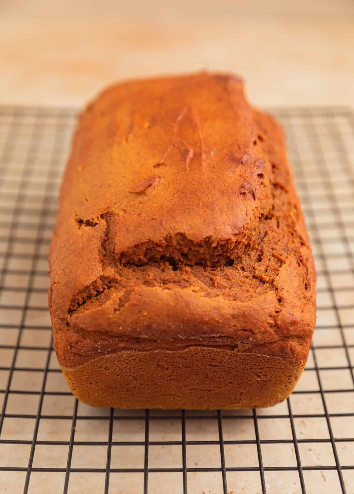 Baked pumpkin bread on cooling rack.