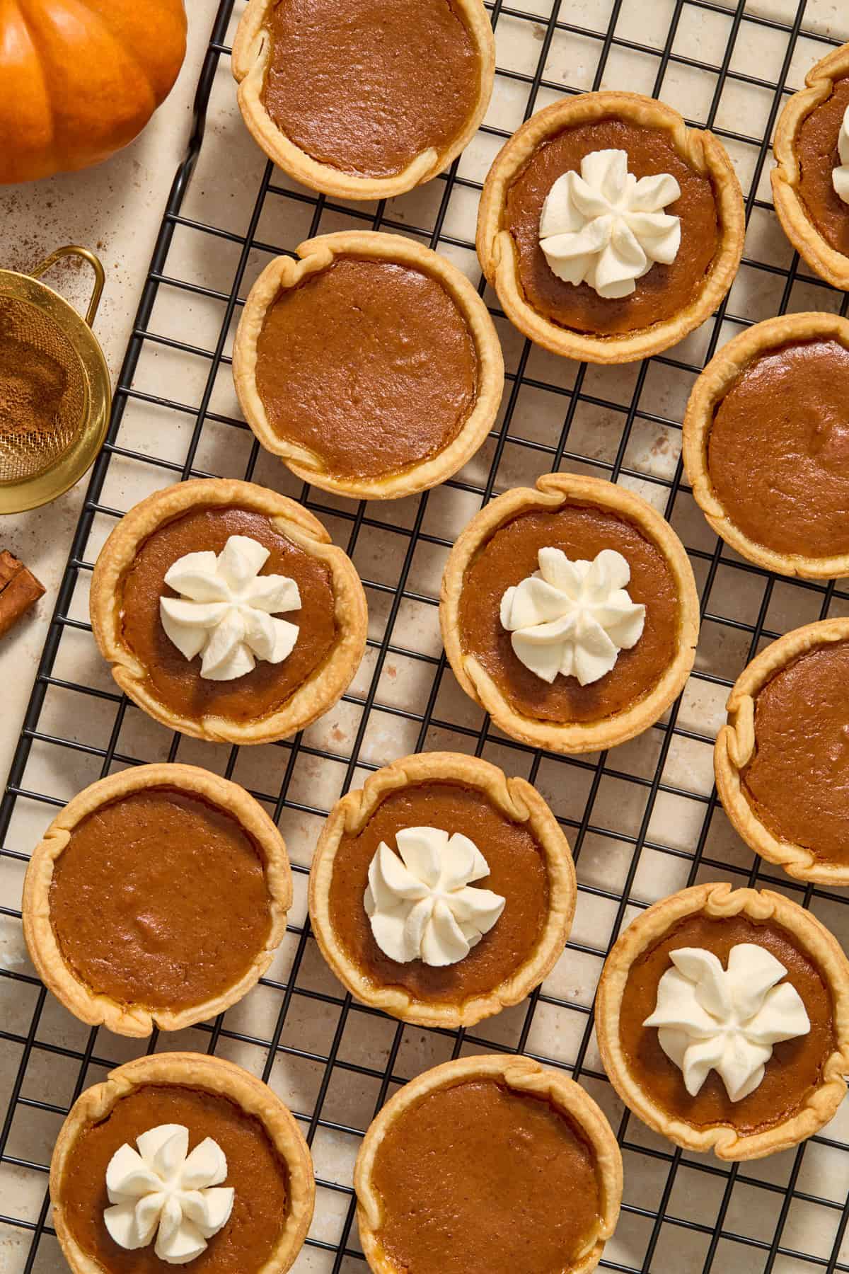 Miniature pumpkin pies on wire rack, some with whipped cream piping and others without.